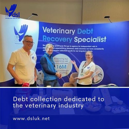DSL UK: A Leader in Veterinary Debt Collection