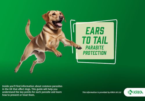 New Guides for Pet Owners to support conversations on pet parasites