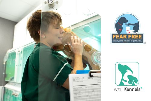 Enhancing Pet Wellbeing: CASCO Pet and Fear Free’s Dr Marty Becker in Conversation at London Vet Show