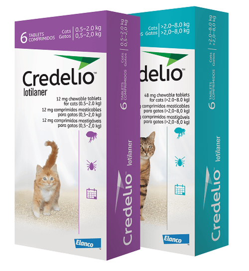 Have you tried Credelio Cat yet?