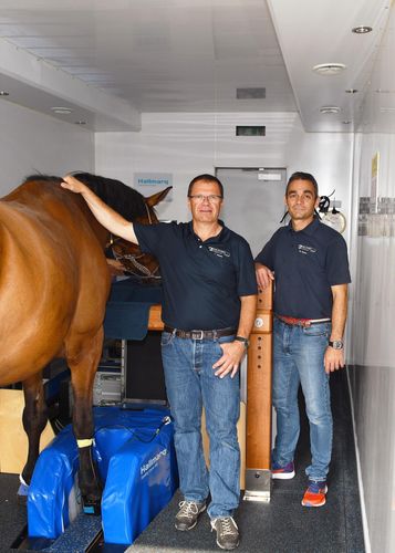 Above and beyond: over 100,000 horses scanned in over 100 Standing Equine MRI systems