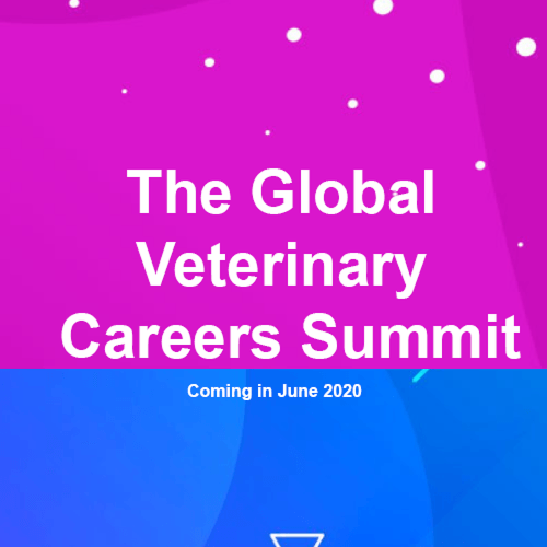 Career communities head for the Summit