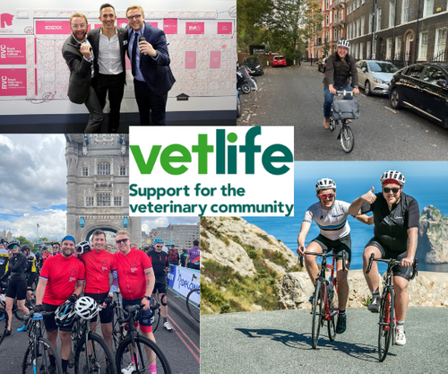 London Vet Show Event Director takes on 100miles cycle challenge to raise funds for Vetlife.