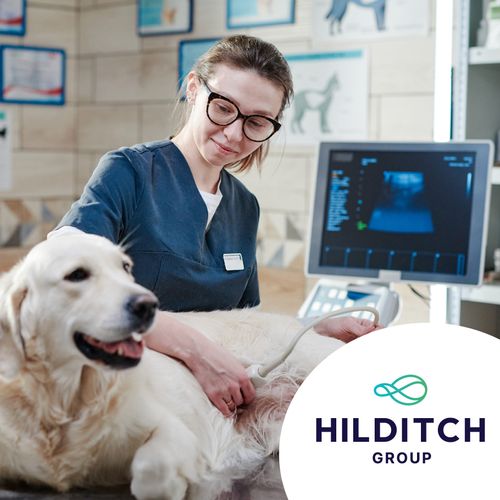 Could pre-owned equipment be a solution to equip your practice?