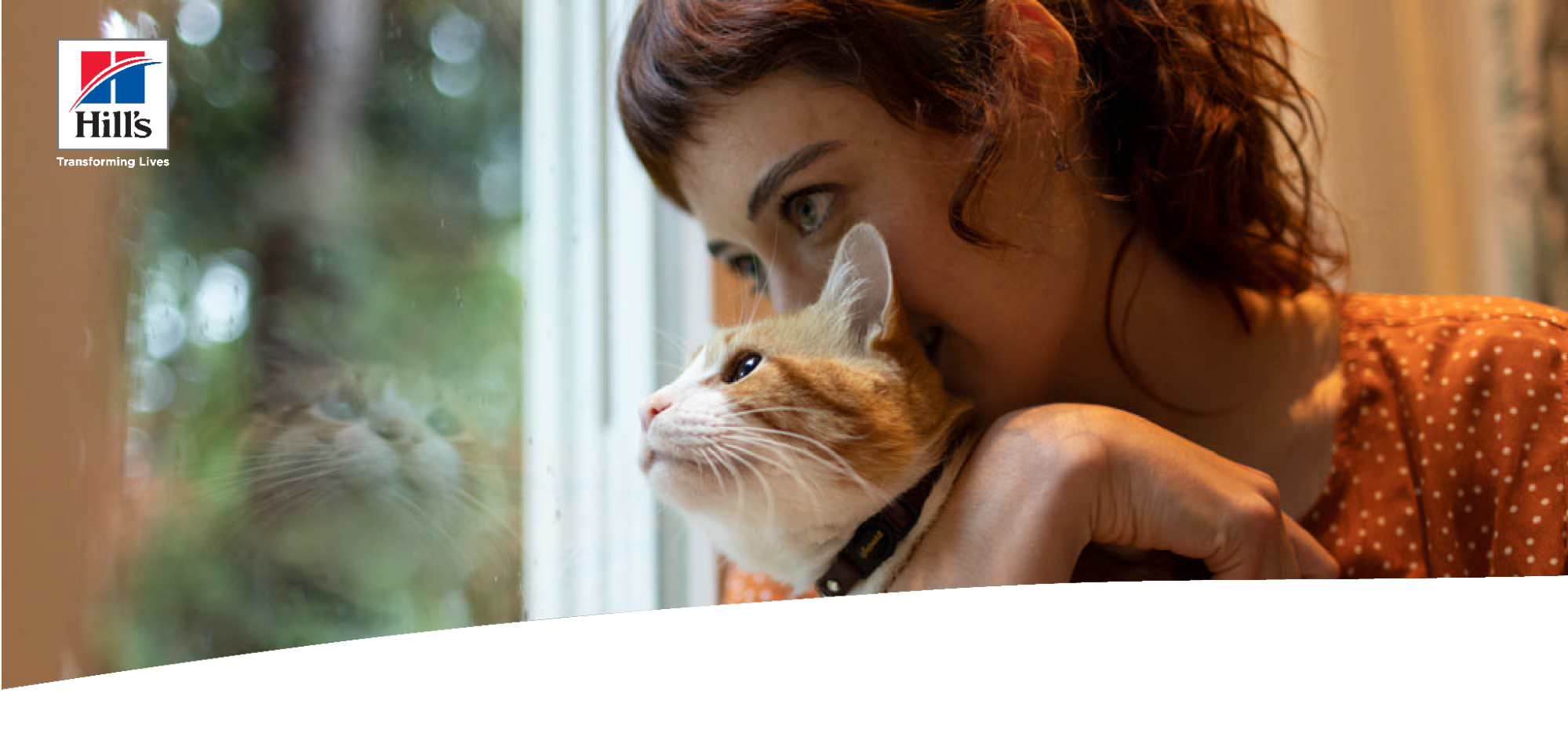 Hill's Pet Nutrition: Cats