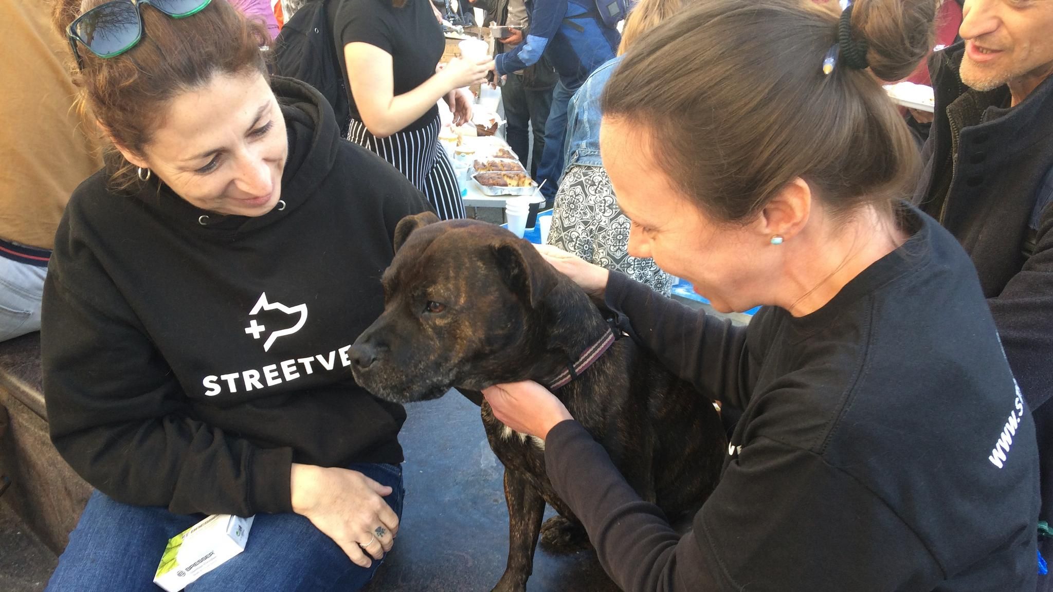 StreetVet During COVID-19 - Adapting to Lockdown