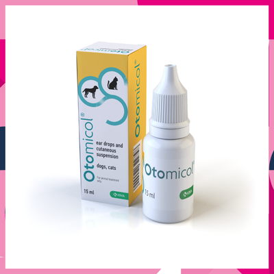 NEW launch from Krka – Otomicol for ear and skin infections