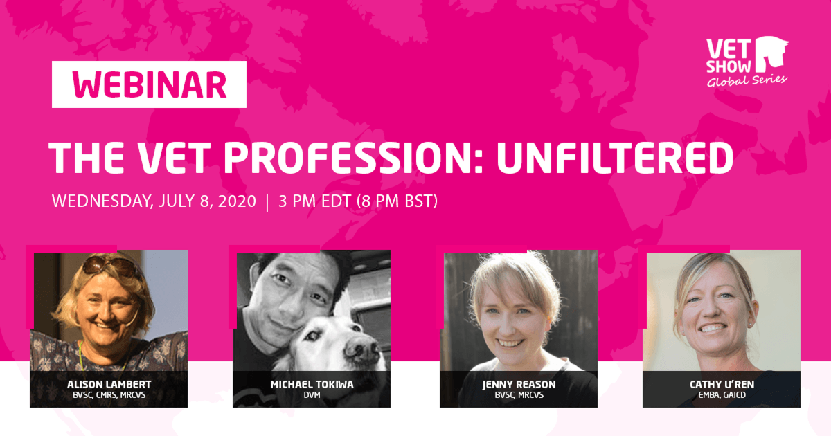 The Vet Profession: Unfiltered [A Recap of our Global Series Finale]