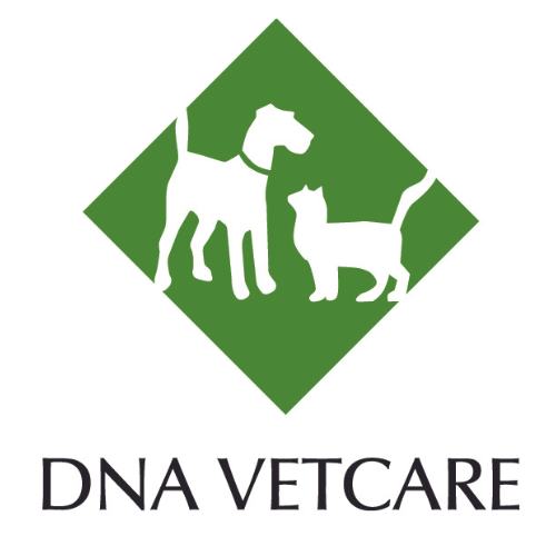 Supporting and rewarding your veterinary career