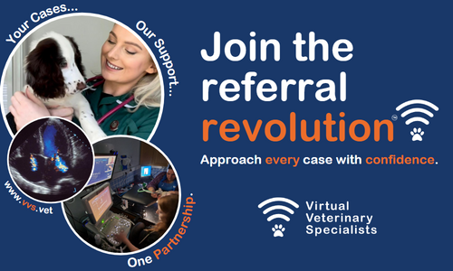 Join The Referral Revolution!