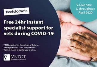 24-hour support for frontline Vets during COVID-19