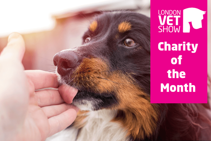 London Vet Show’s Charity of the Month