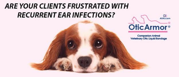 Recurrent Otitis Externa: Which approach do you take?