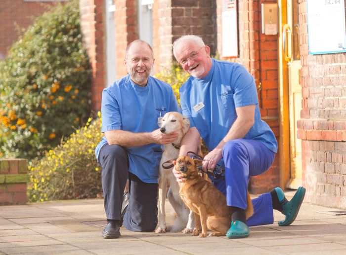 IVC - Putting the focus on local independence