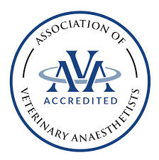 AVA