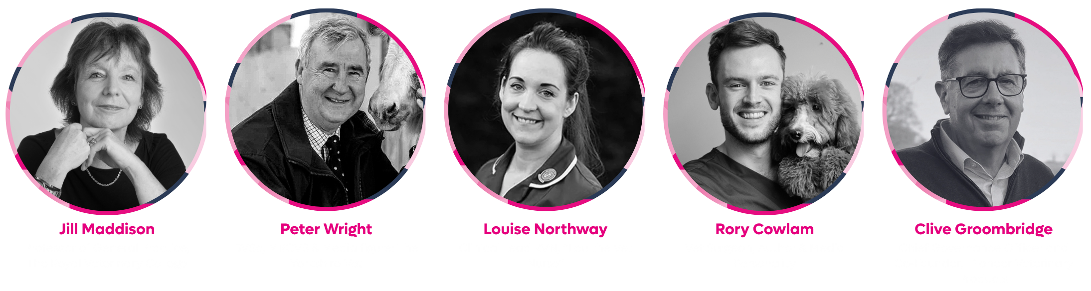 30 under thirty judges
