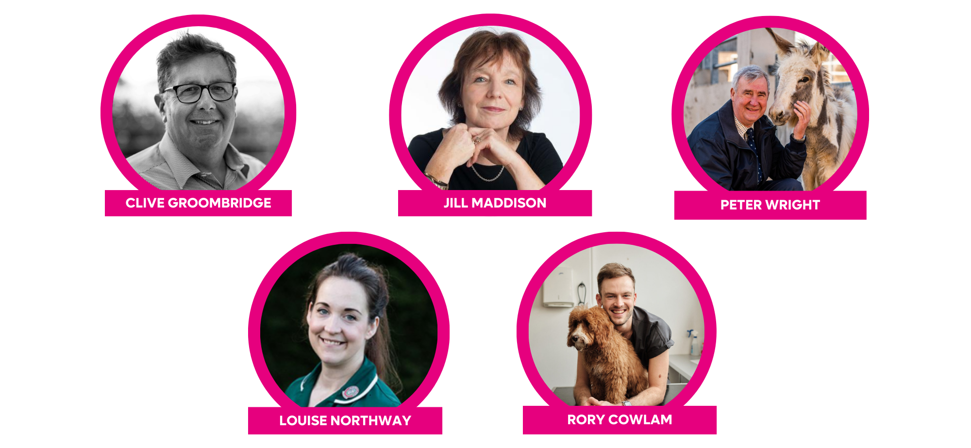 Meet the Judges