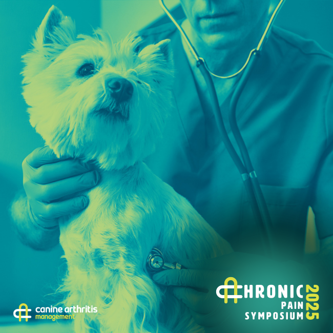 Vet consulting with a westie dog