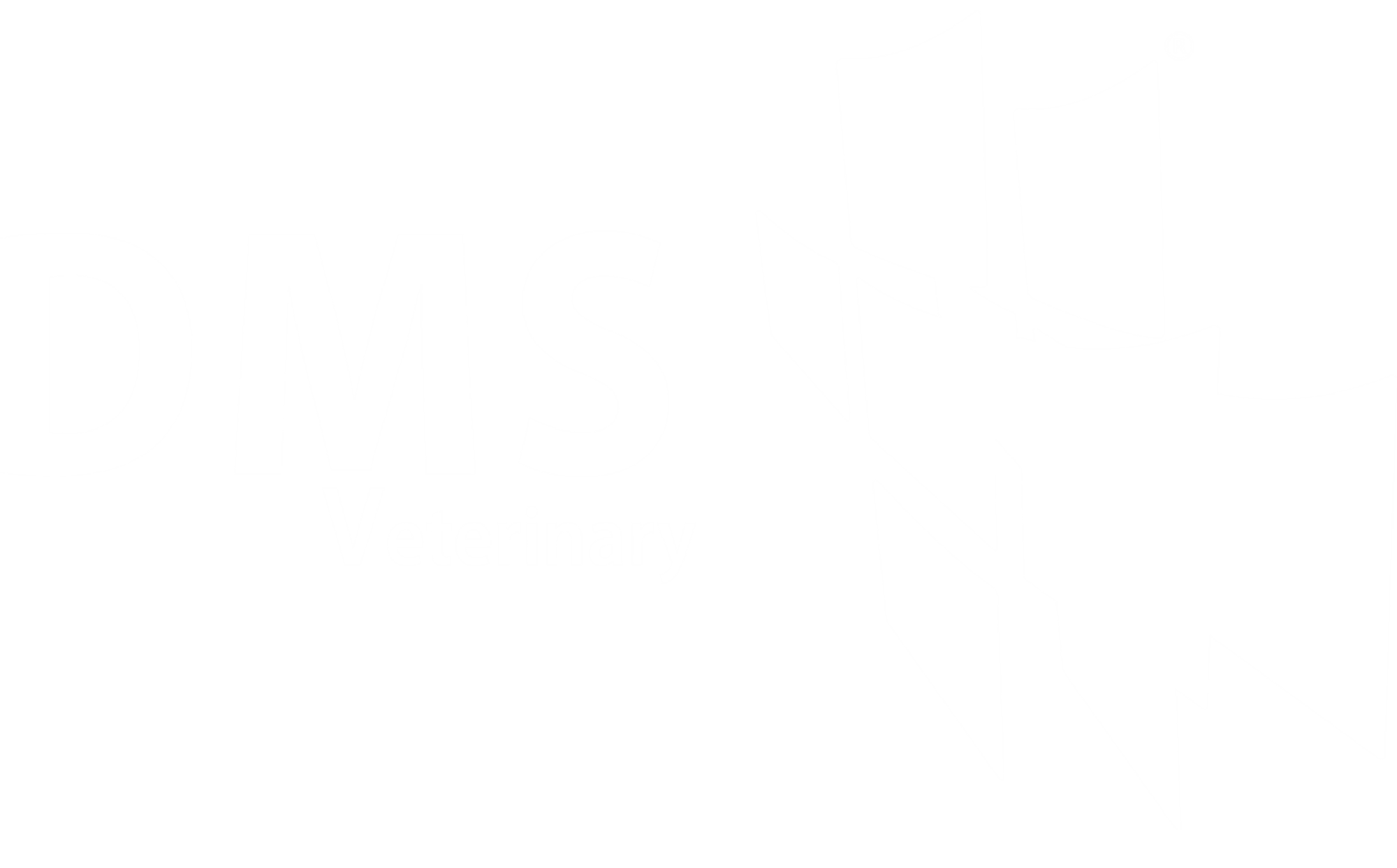 DMS