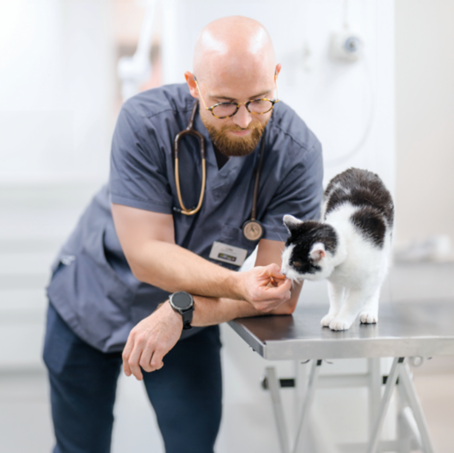 Dr. Lukasz Zjaworski PgC(SAC) MRCVS Senior Vet The Pet Vet Rotherham