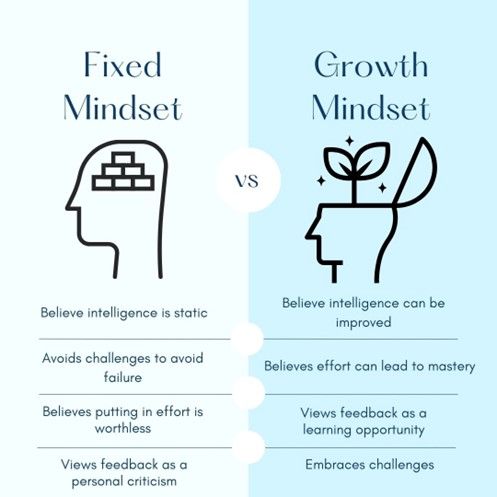 Fixed Mindset