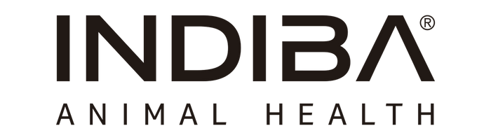 INDIBA' Animal Health - A New Era in Animal Rehabilitation