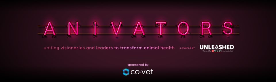 Annivators Logo