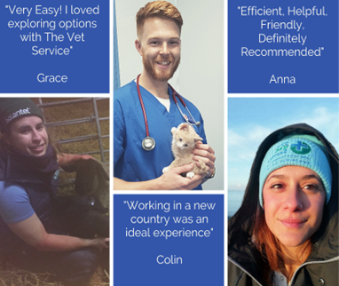 The Vet Service