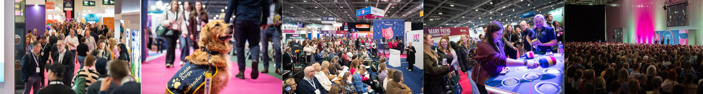 London Vet Show 2025