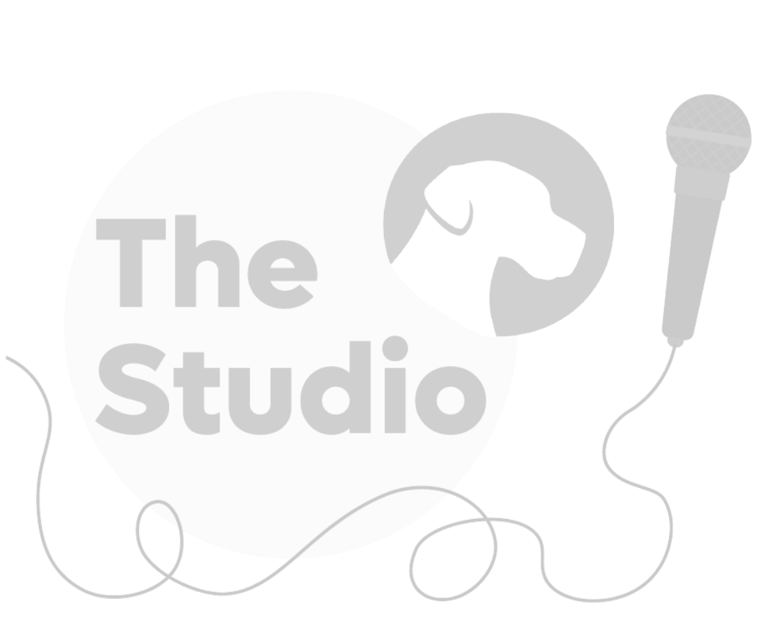 the studio