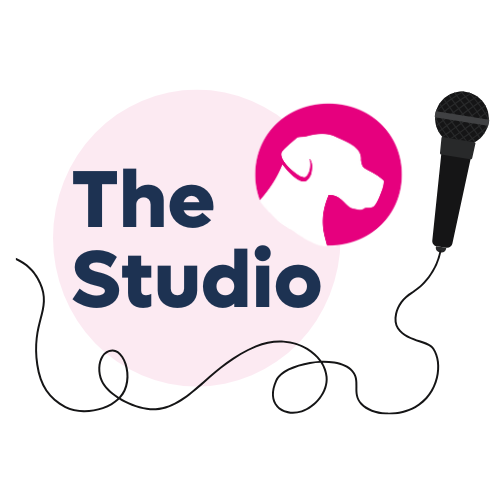 The Studio Logo