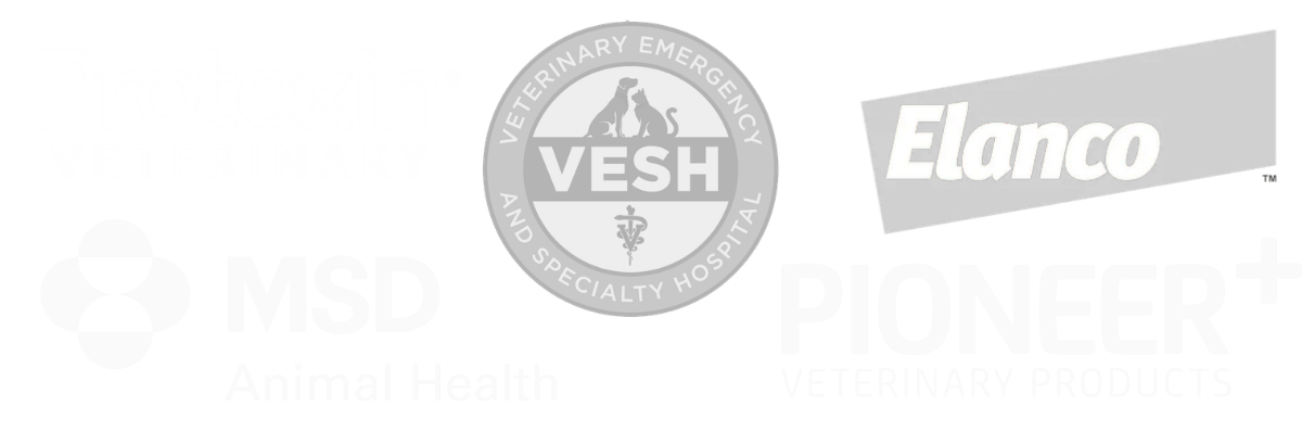 LOGOS