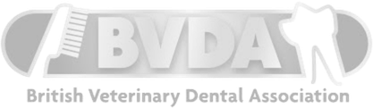 BVDA
