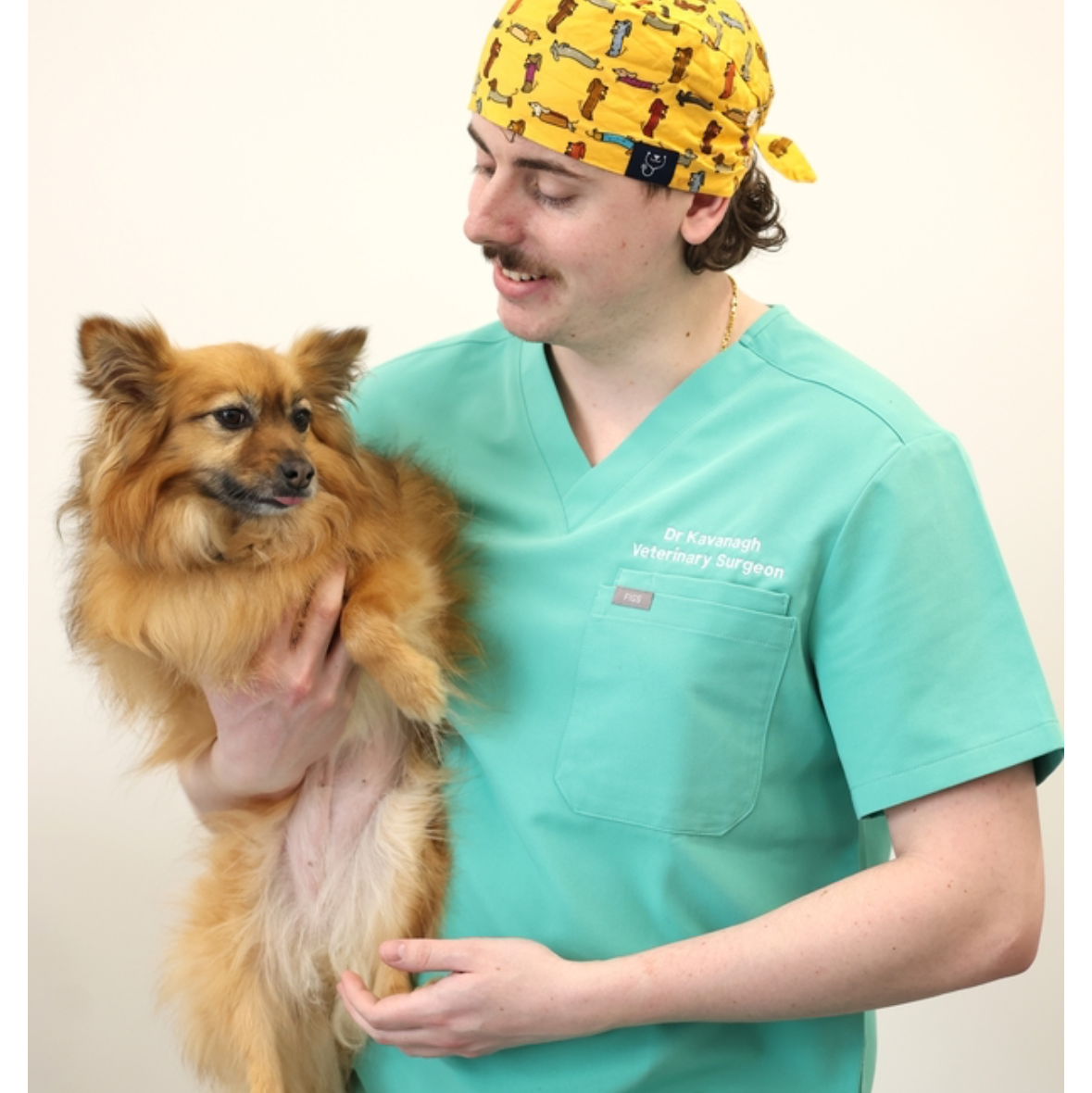 Alex Kavanagh Veterinary Surgeon NSPCA