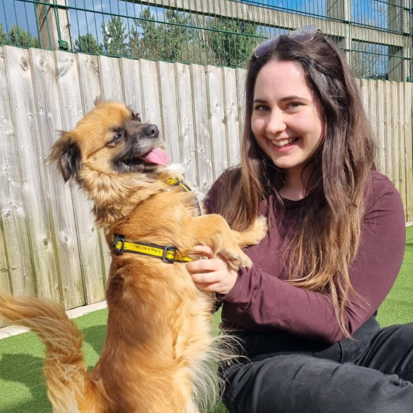 Charlotte Jones Veterinary Surgeon Vale Vets Dursley
