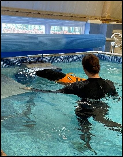 In the pool
