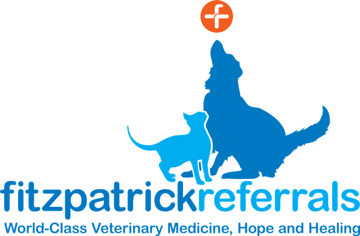 Fitzpatrick Referrals announces LVS attendees