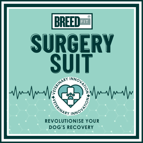 BreedFit by Surgery Suit
