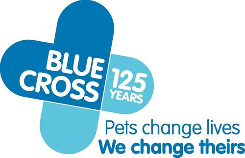 Blue Cross