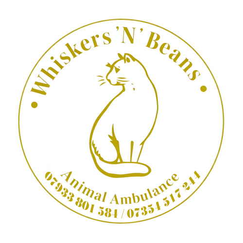 Whiskers N Beans