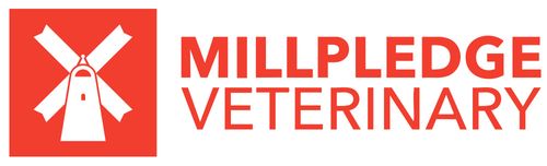 Millpledge Veterinary