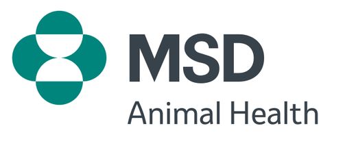 MSD
