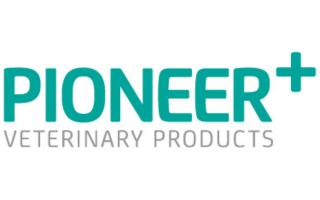 Pioneer