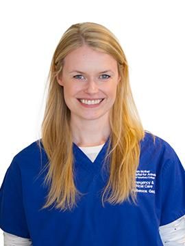 Get to know: Rebecca Geddes – Insights into Teaching and Treating in Small Animal Internal Medicine
