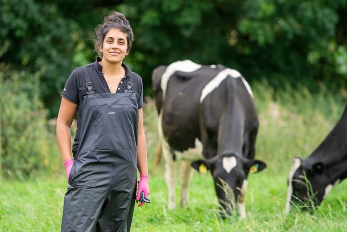 VetPartners to provide £500k in bursaries to remove financial burden for budding vets