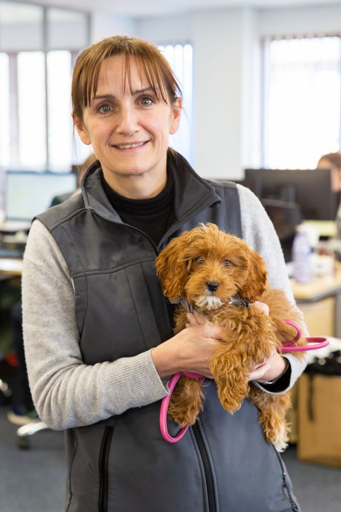 VetPartners is ranked UK's No1 company for senior leadership