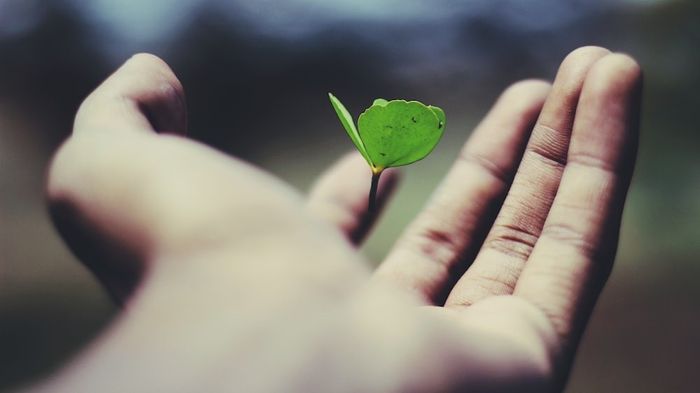 Growing your Veterinary Practice sustainably