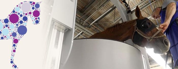 State-of-the-art equine standing CT now available in the UK, Ireland and parts of Europe