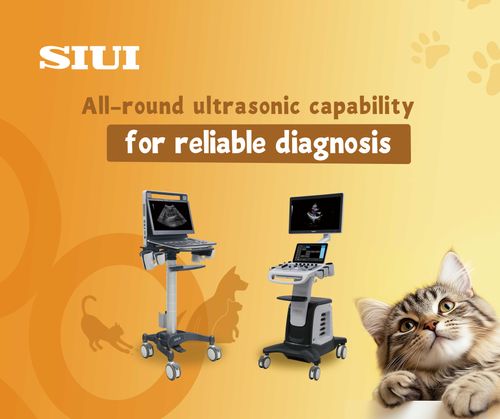 What to Expect at SIUI’s Booth (S65)? Check for a Quick Preview!