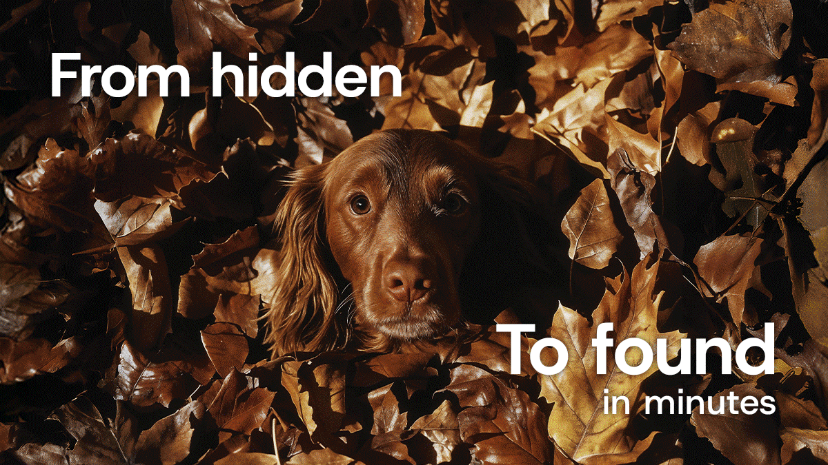 GIQuest now available in NVS, Covetrus and MWI